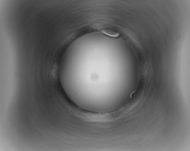 X0000113760036200910071140