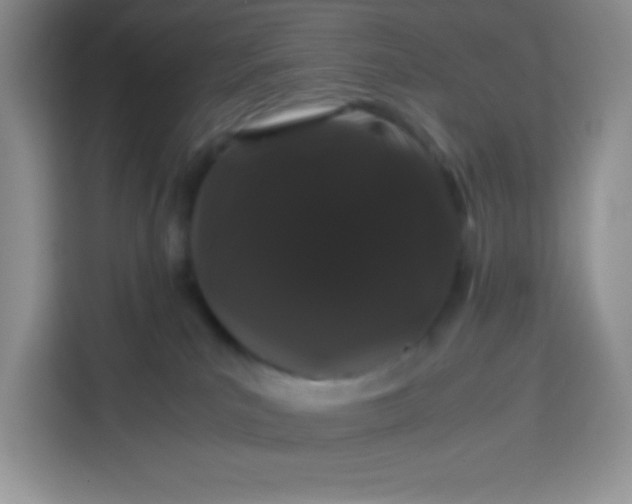 X0000113760039200910071140
