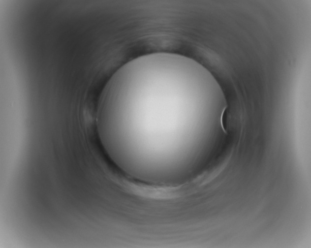 X0000113760040200910071140