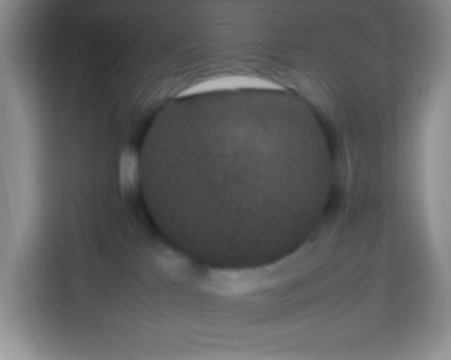 X0000113760041200910071140