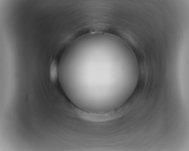 X0000113760042200910071140