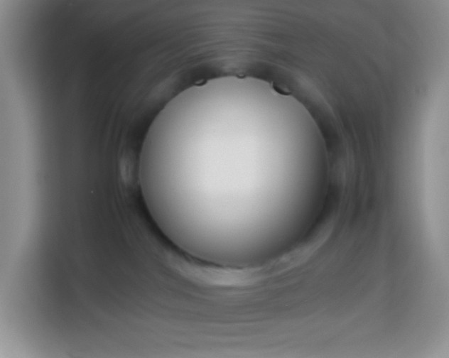 X0000113760044200910071140