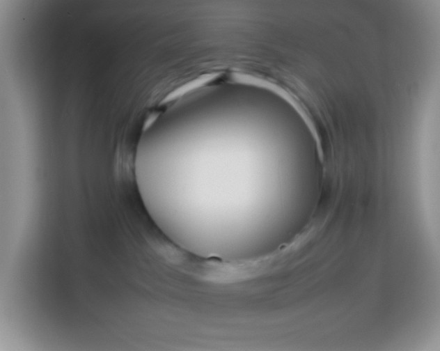 X0000113760045200910071140