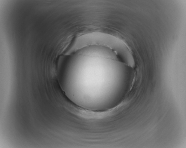 X0000113760048200910071140
