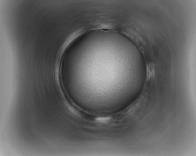 X0000113760051200910071140