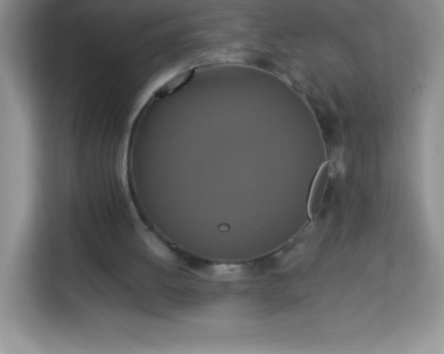 X0000113760052200910071140