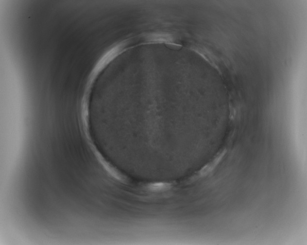 X0000113760053200910071140