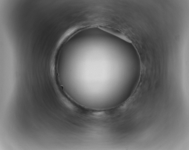 X0000113760054200910071140