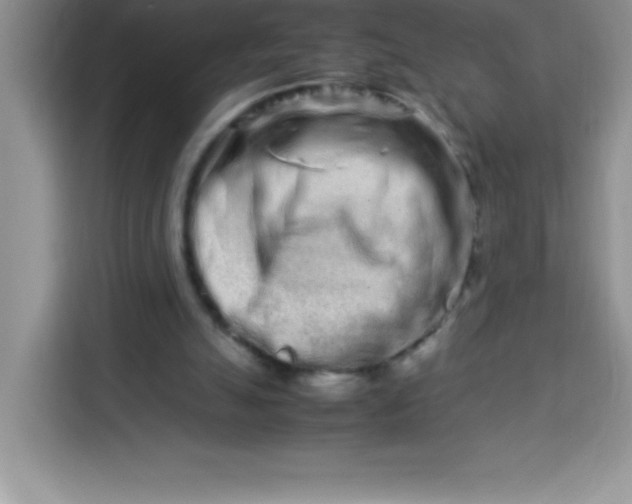 X0000113760055200910071140
