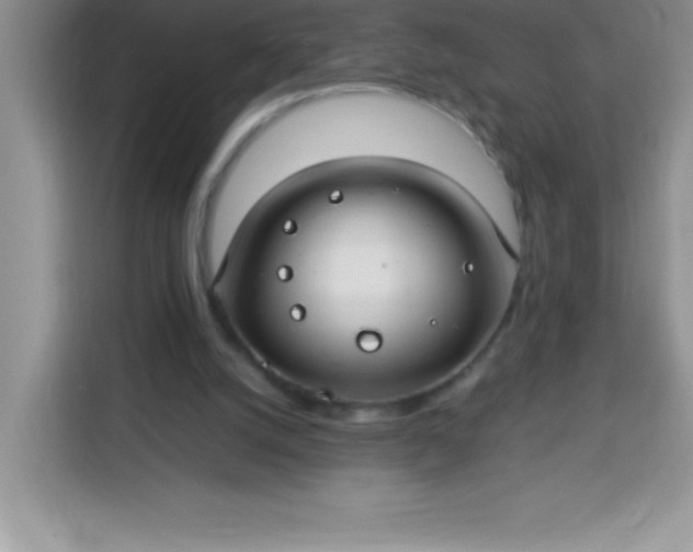 X0000113760056200910071140