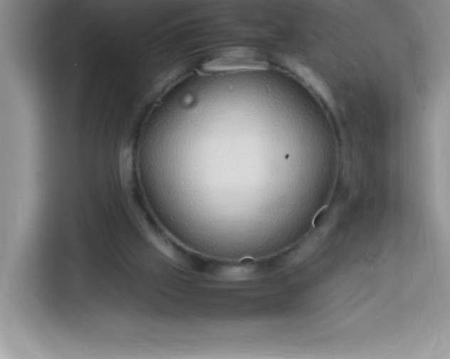 X0000113760057200910071140