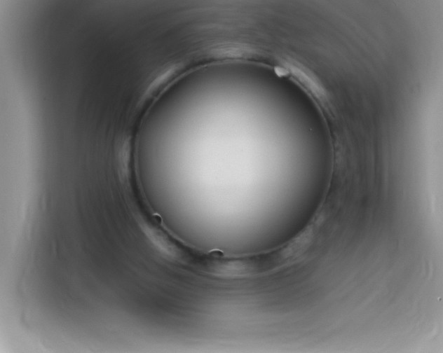 X0000113760058200910071140