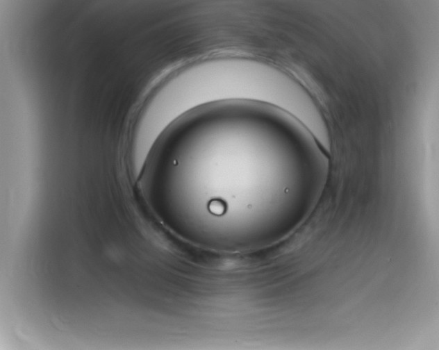 X0000113760060200910071140