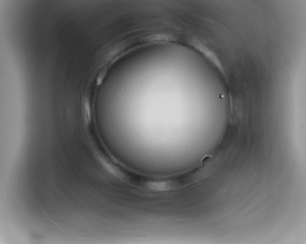 X0000113760061200910071140