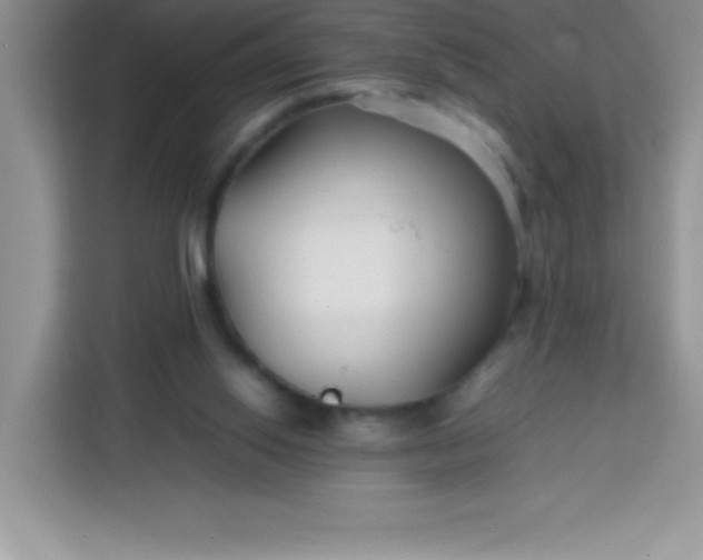 X0000113760062200910071140