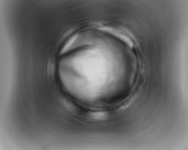 X0000113760063200910071140