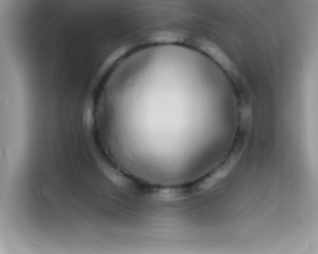 X0000113760064200910071140