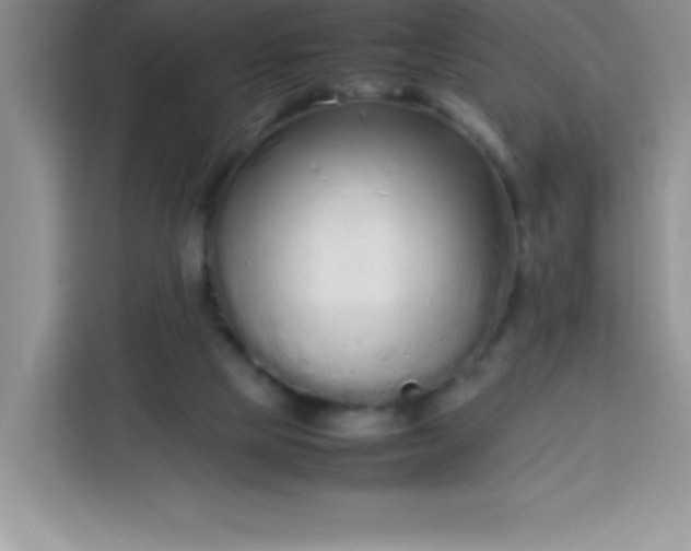 X0000113760065200910071140