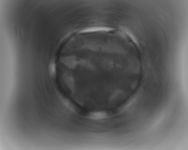 X0000113760067200910071140