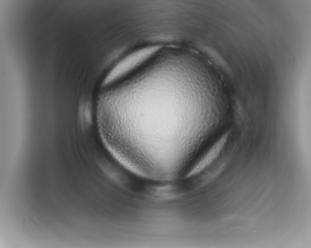 X0000113760068200910071140