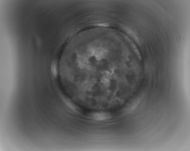 X0000113760069200910071140