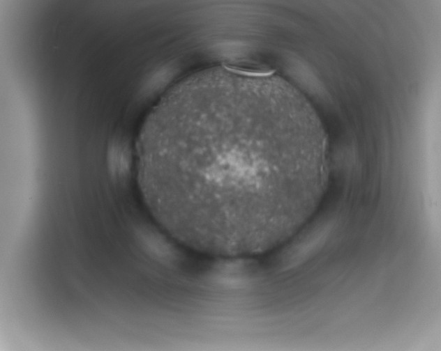 X0000113760072200910071140