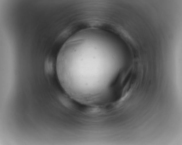 X0000113760074200910071140