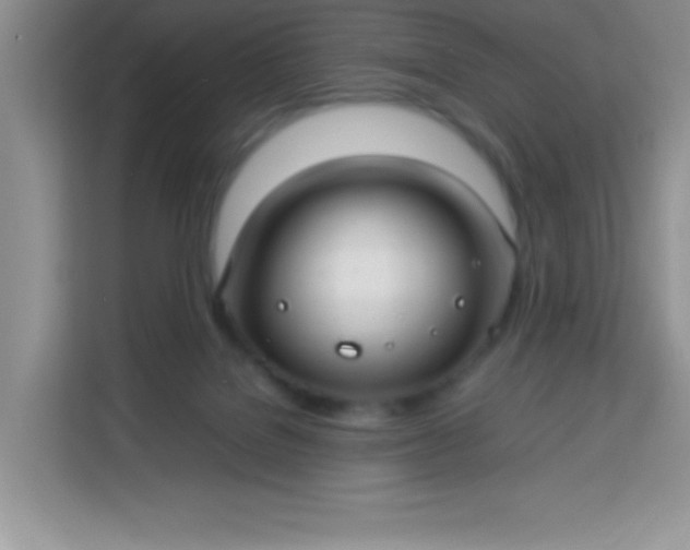X0000113760076200910071140