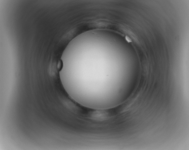 X0000113760077200910071140