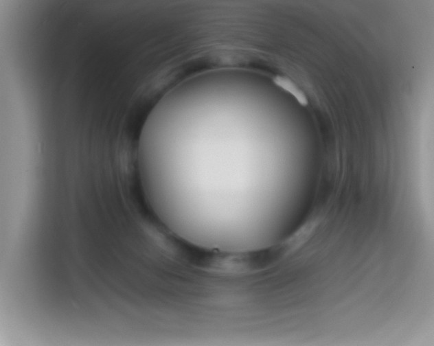 X0000113760078200910071140