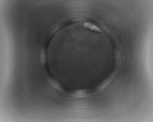 X0000113760080200910071140