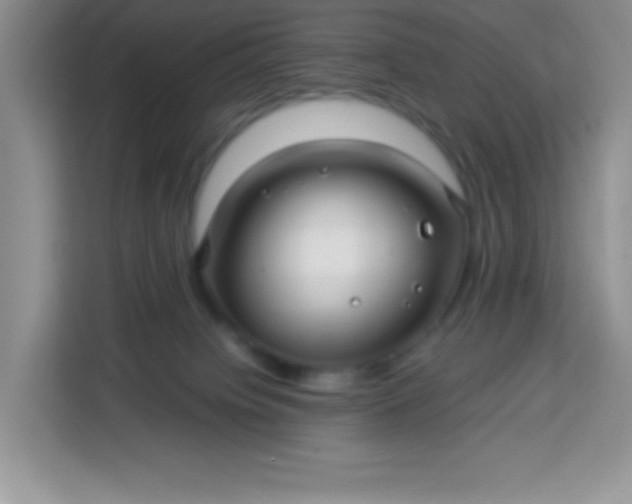 X0000113760084200910071140