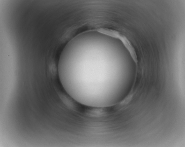 X0000113760086200910071140