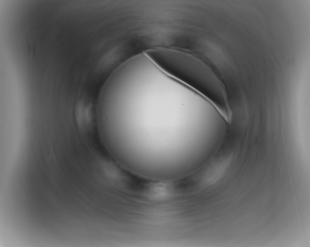 X0000113760088200910071140