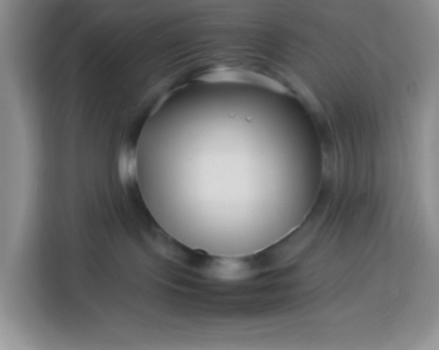 X0000113760095200910071140