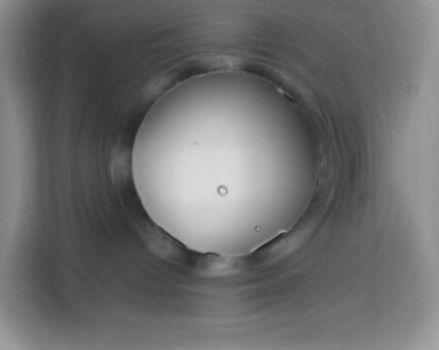 X0000113760096200910071140