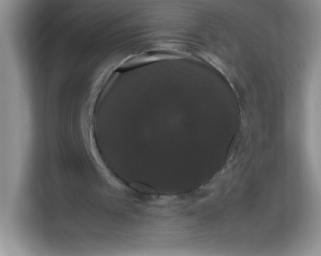X0000113760097200910071140