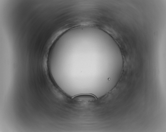 X0000113760098200910071140