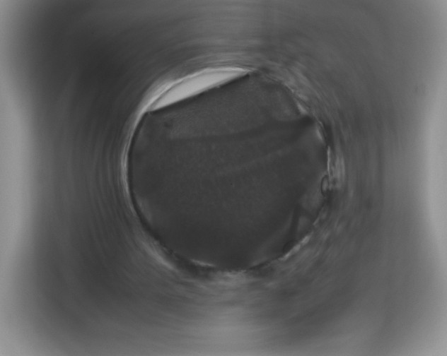 X0000113760099200910071140