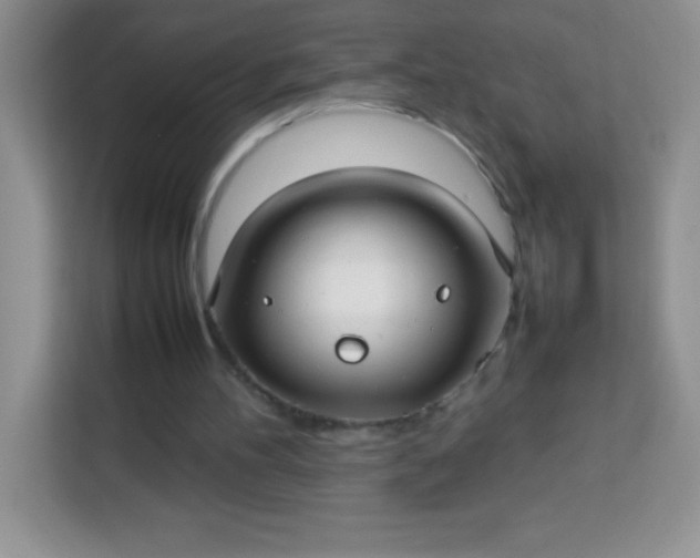 X0000113760100200910071140