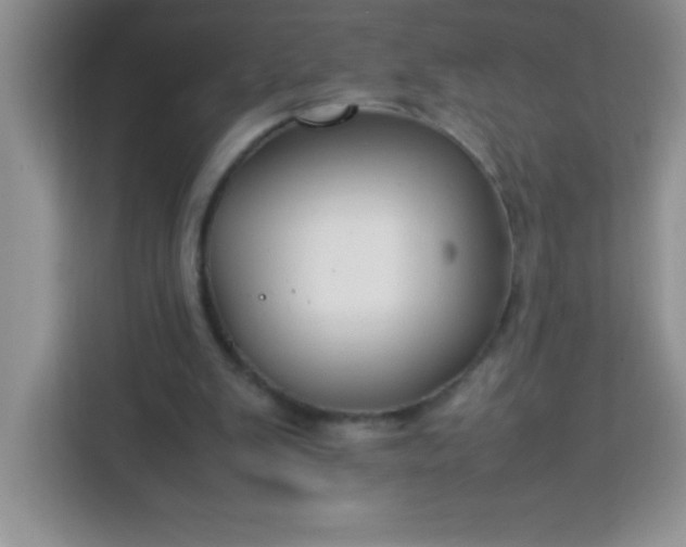 X0000113760103200910071140