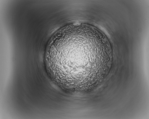 X0000113760105200910071139