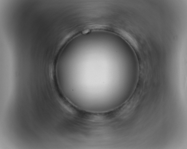 X0000113760107200910071139