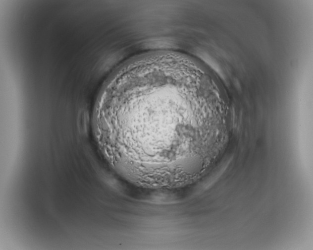 X0000113760109200910071139