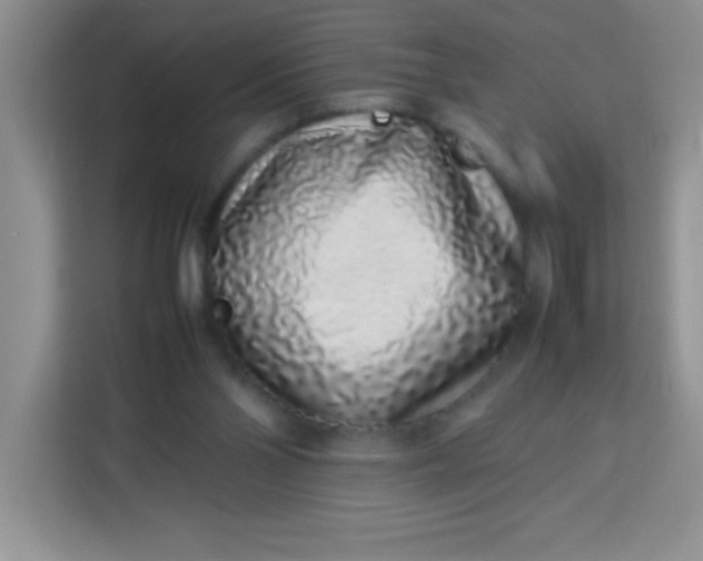 X0000113760110200910071139