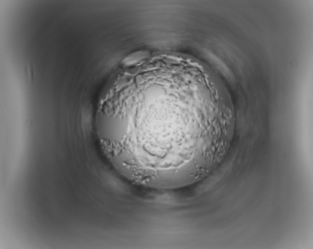 X0000113760113200910071139