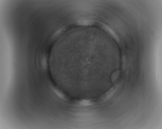 X0000113760114200910071139