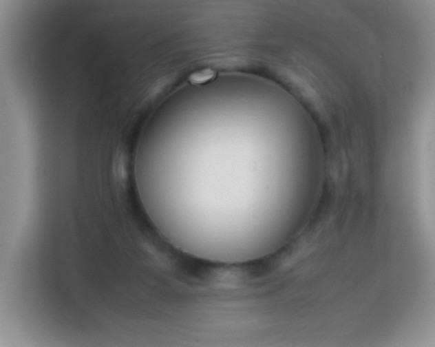 X0000113760115200910071139