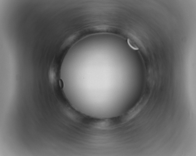 X0000113760116200910071139