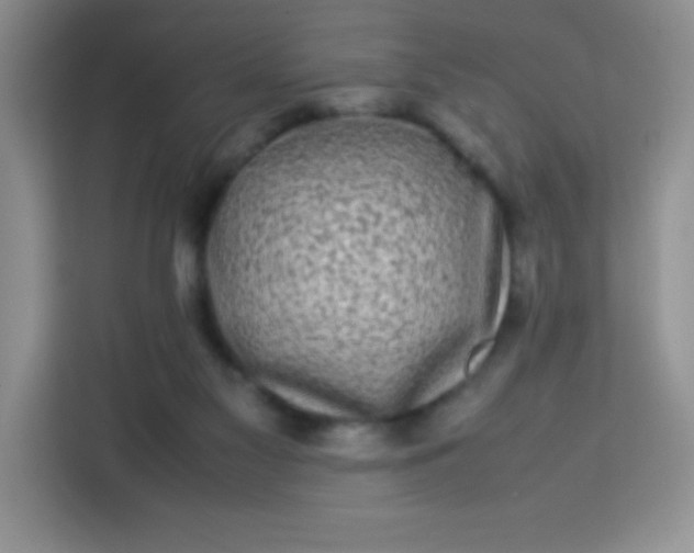X0000113760117200910071139